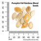 Pumpkin, Fall Rainbow Blend Organic Seeds Online Edition