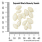 Squash, Black Beauty Zucchini Organic Seeds Online Edition