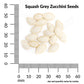 Squash, Grey Zucchini Organic Seeds Online Edition
