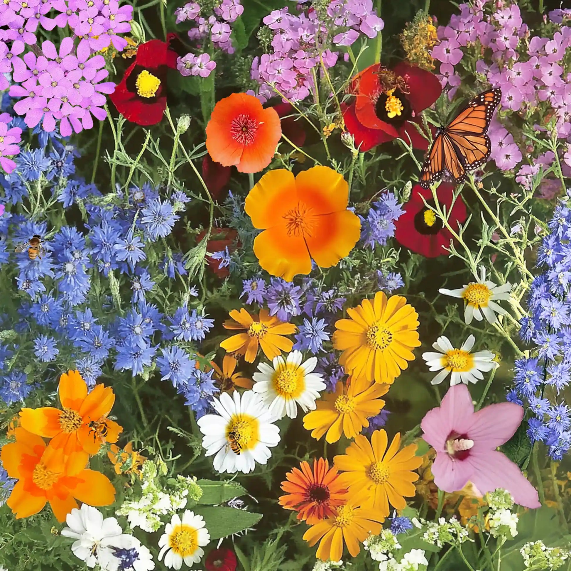 free flower seeds by mail 2022 Annual Mix Bulk Flower Seeds, 1lb