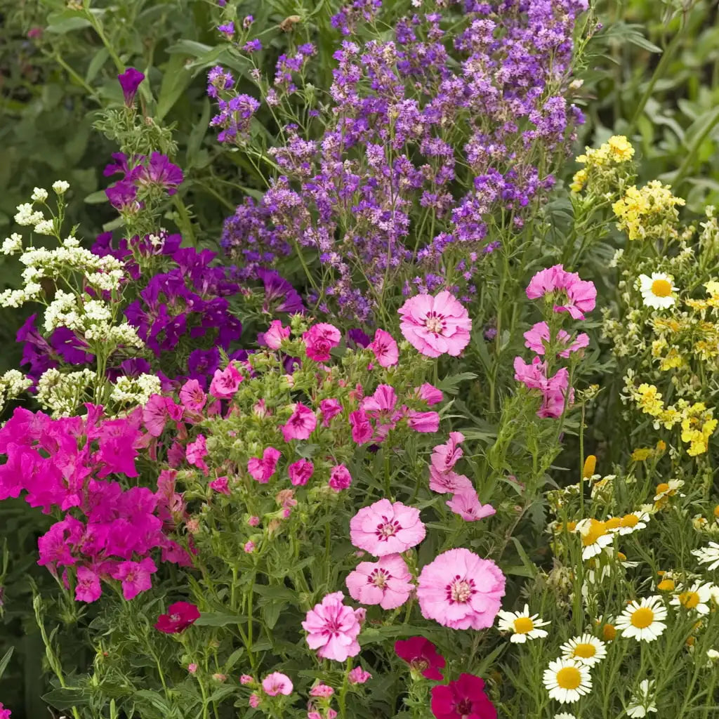 Bumblebee Buffet Mix Bulk Flower Seeds, 1lb