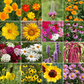 Bird Lover’s Mix Bulk Wildflower Seeds, 1lb