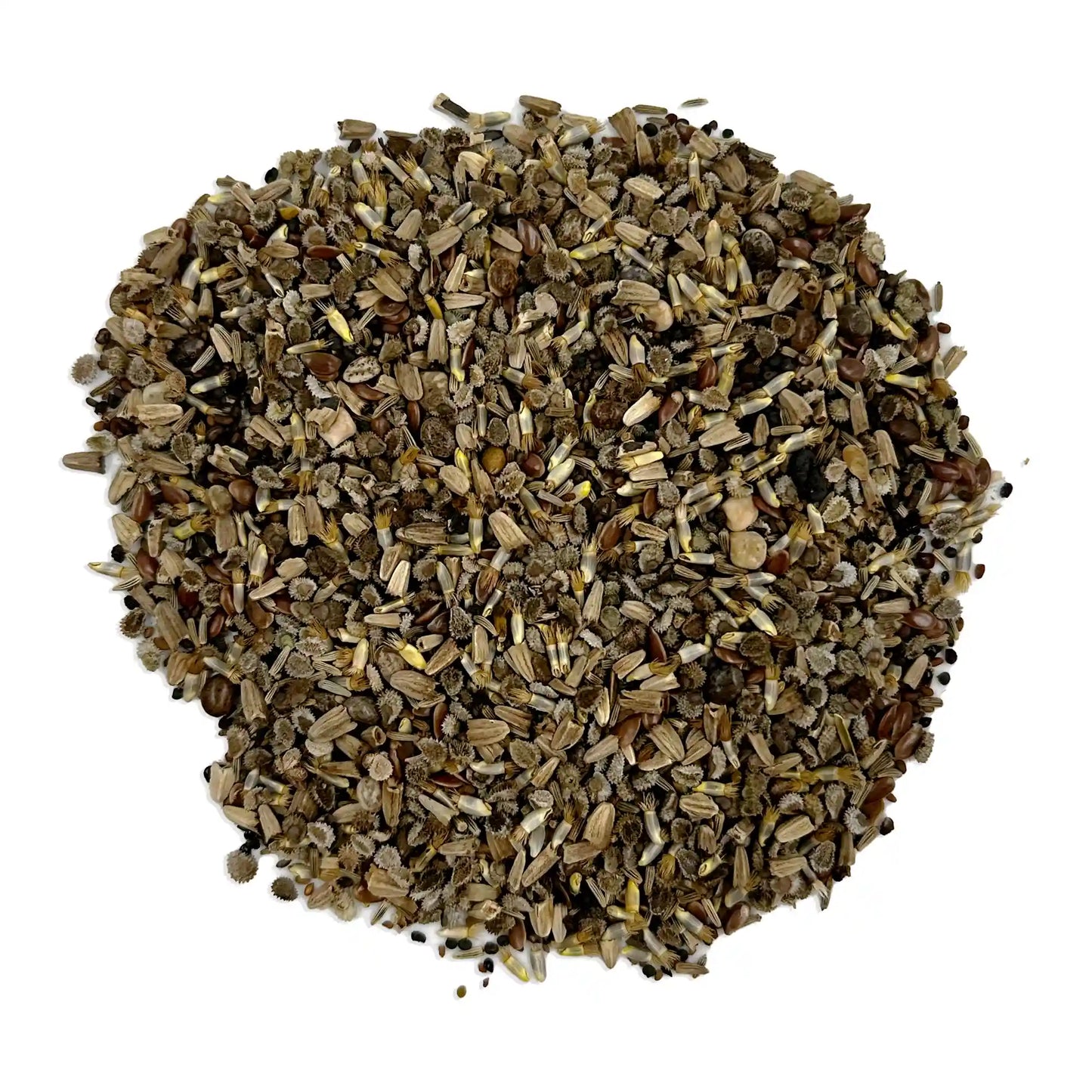 Cool Colors Mix Bulk Wildflower Seeds, 1lb