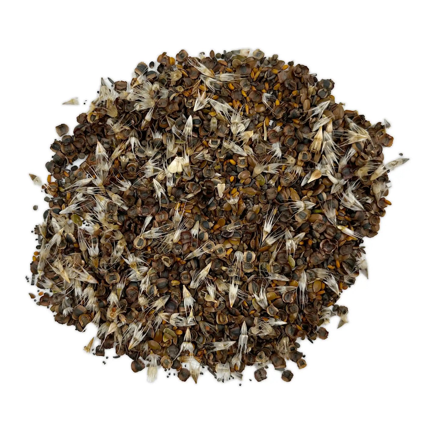 Cool Season Mix Bulk Wildflower Seeds, 1lb