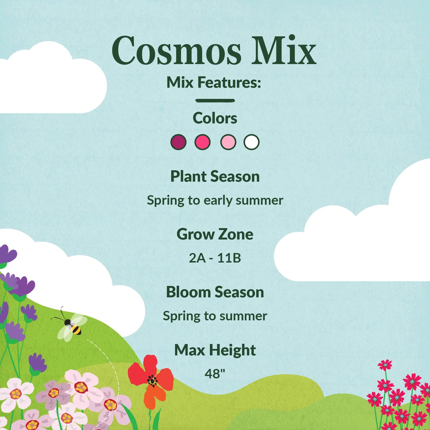 Cosmos Mix Bulk Flower Seeds, 1lb