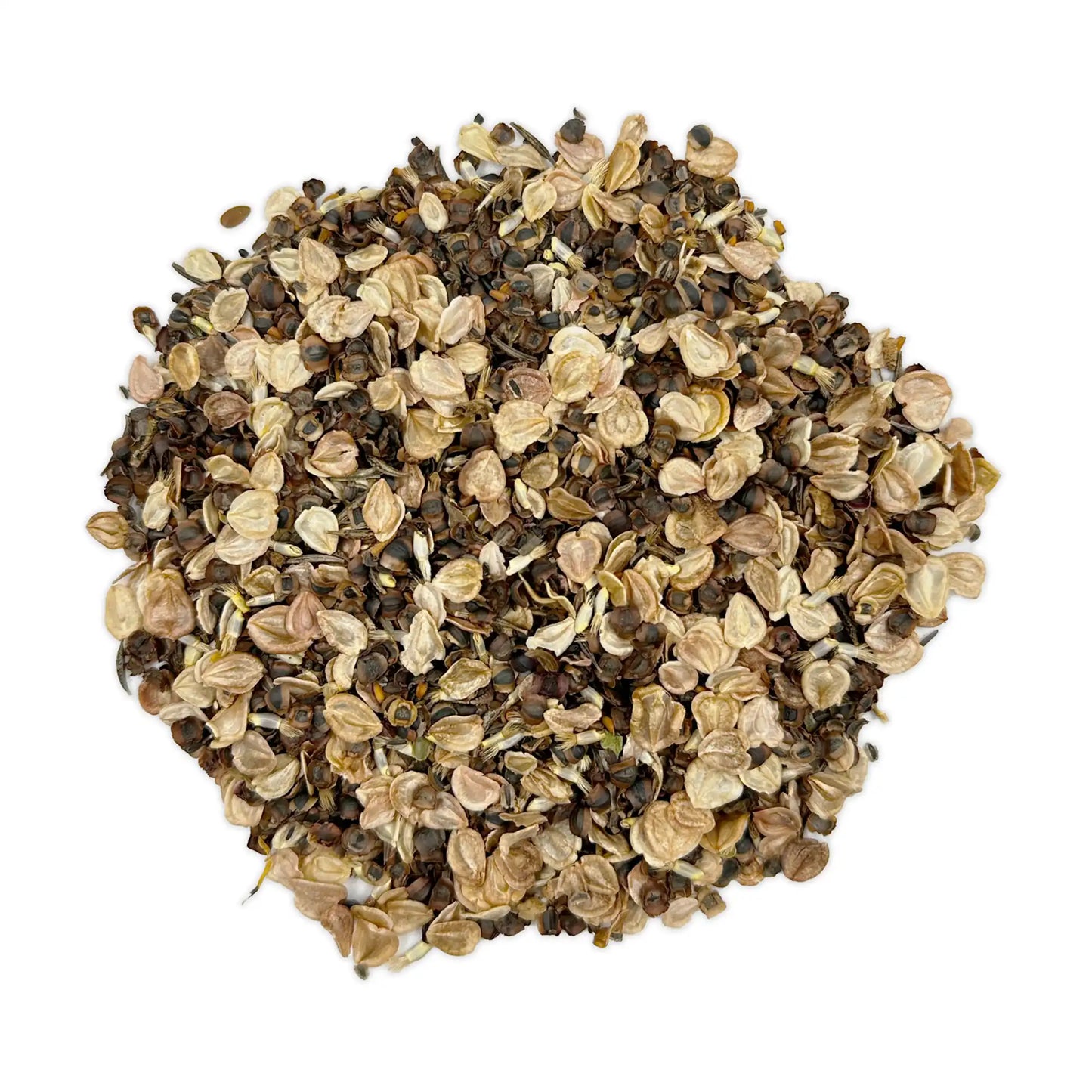Gulf Coast-Caribbean Mix Bulk Wildflower Seeds, 1lb