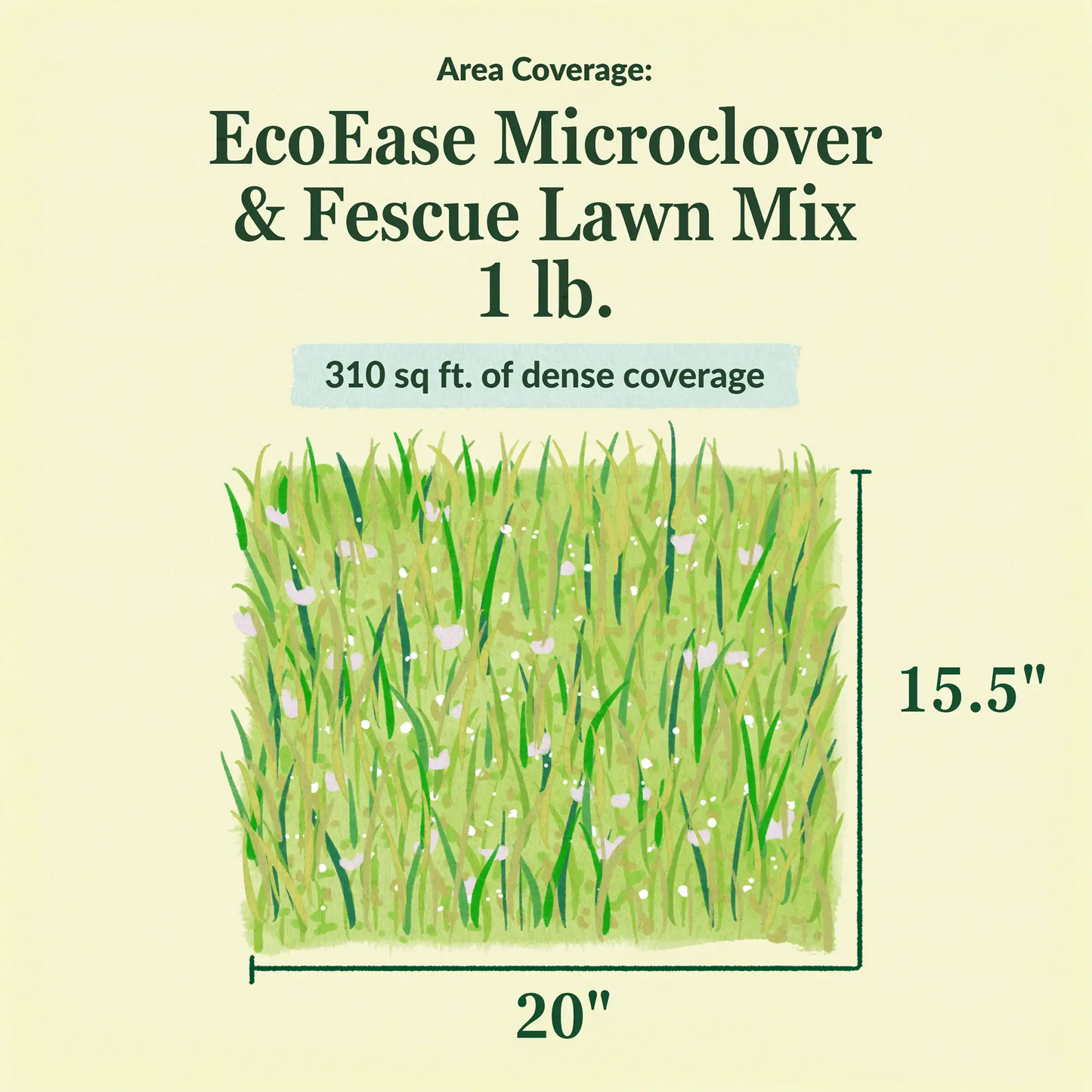 EcoEase Microclover and Fescue Mix Bulk Wildflower Seeds, 1lb