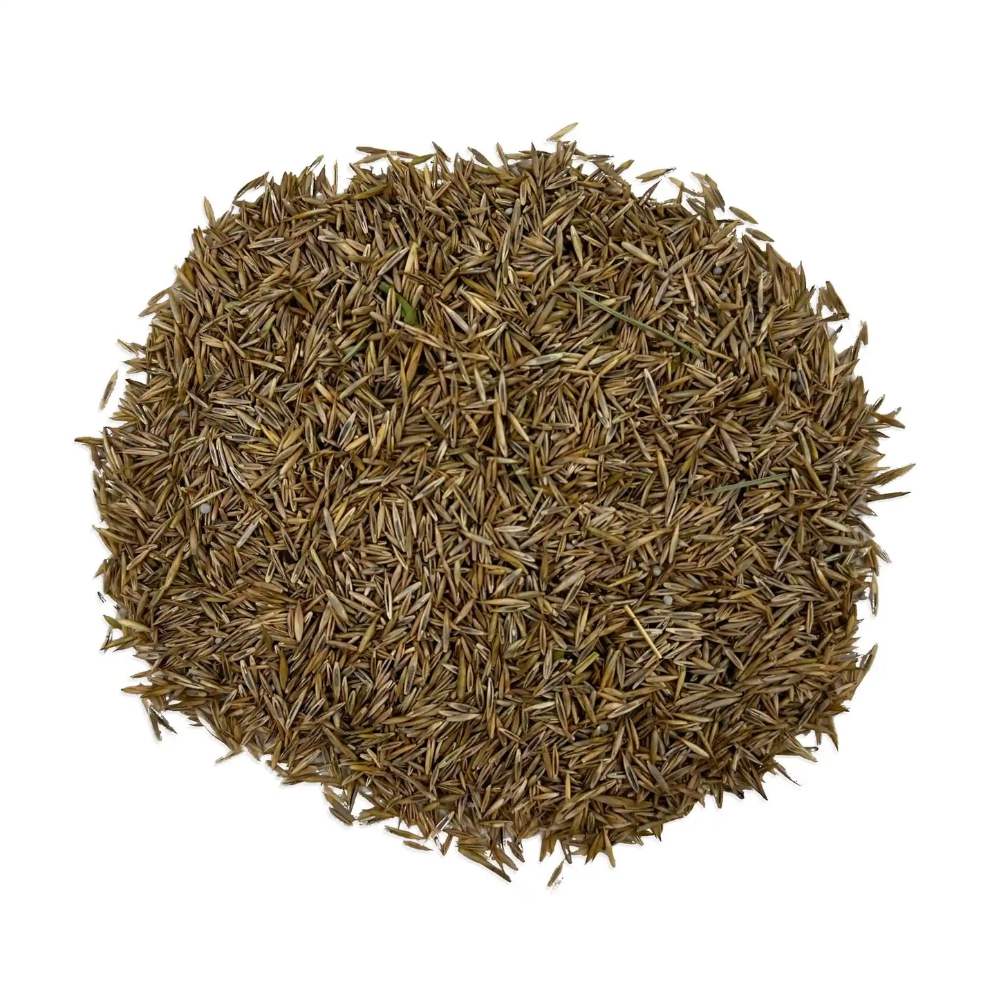 EcoEase Microclover and Fescue Mix Bulk Wildflower Seeds, 1lb