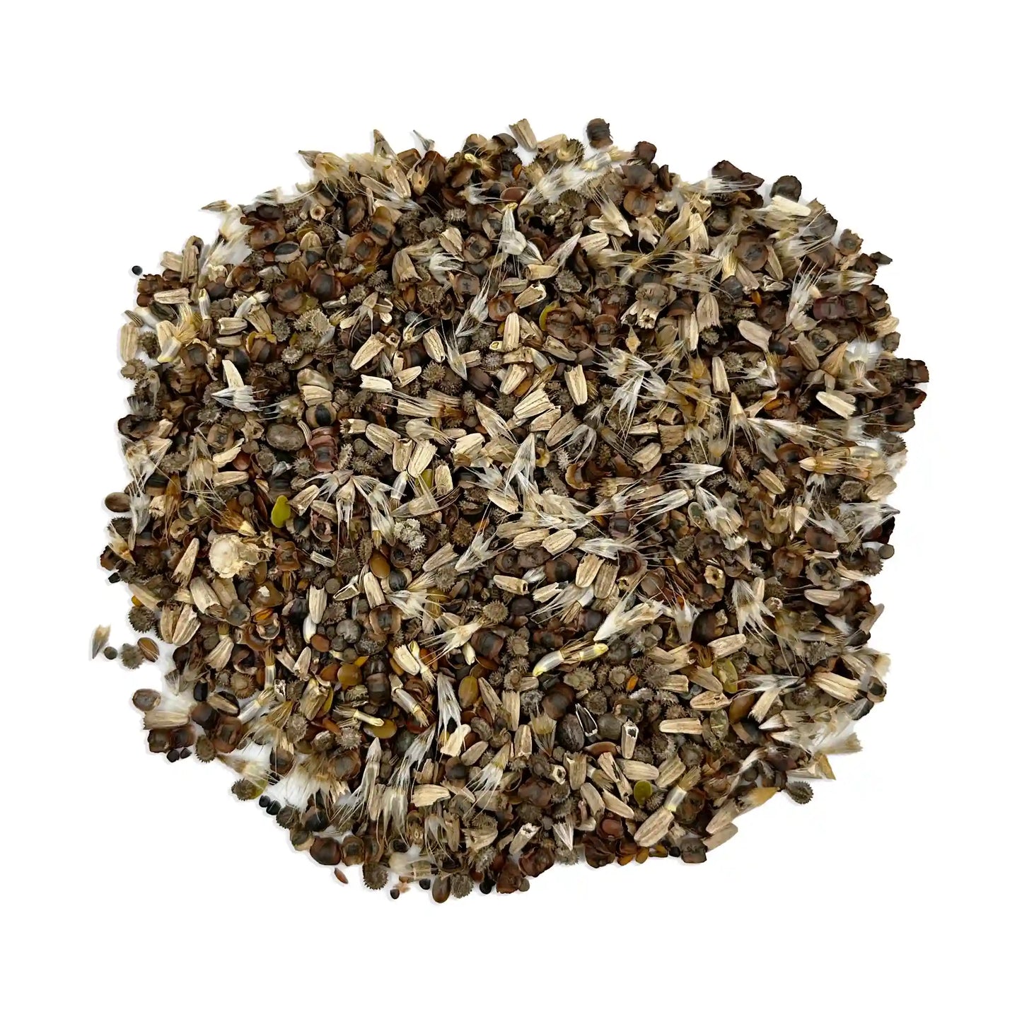 North American Mix Bulk Wildflower Seeds, 1lb