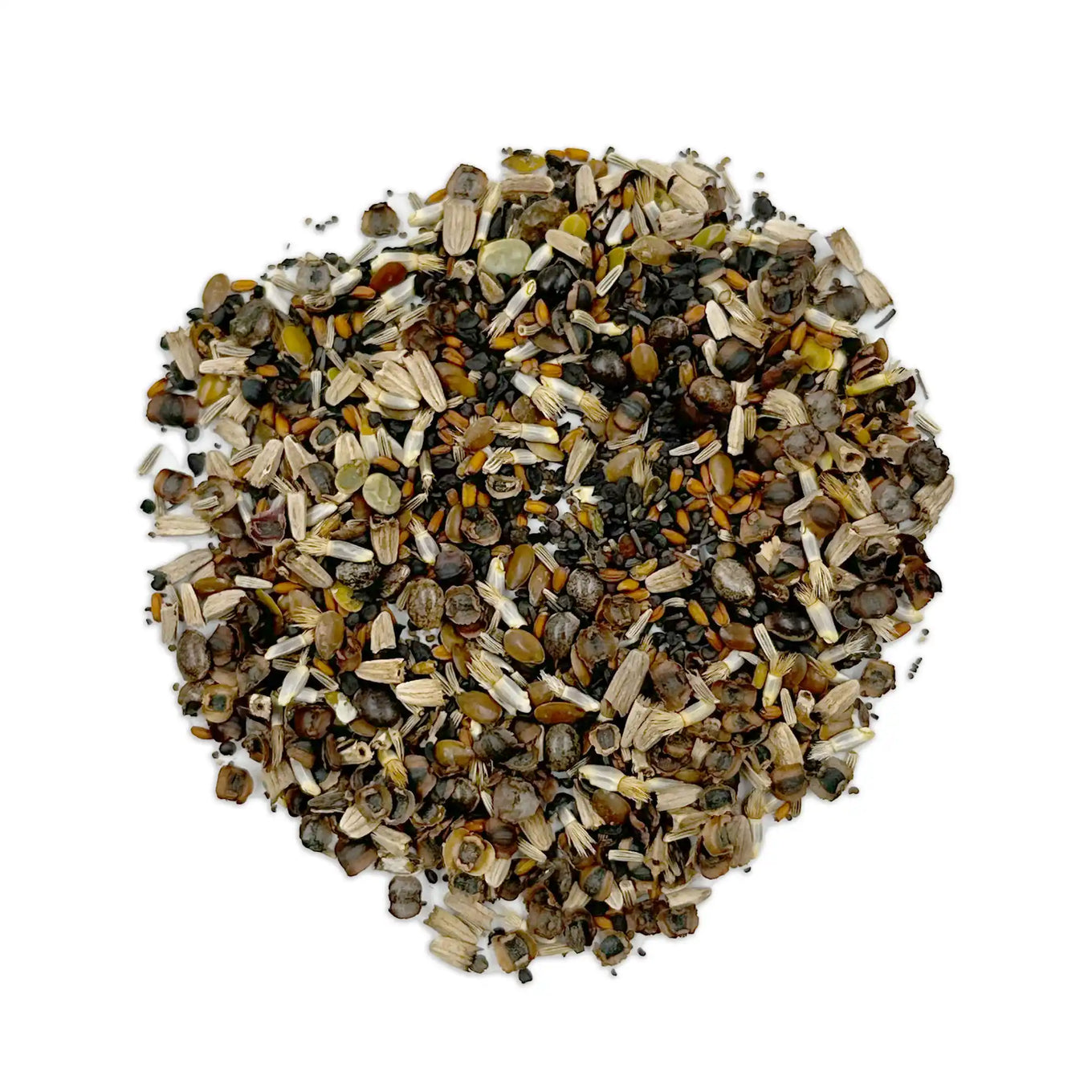 wildflower seeds massachusetts Ferry-Morse Northeast Mix Bulk Wildflower Seeds, 1lb