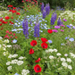 Red, White & Blue Mix Bulk Flower Seeds, 1lb