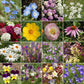 Shade Mix Bulk Flower Seeds, 1lb