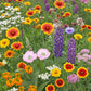 Colorado Western Mix Bulk Wildflower Seeds, 1lb