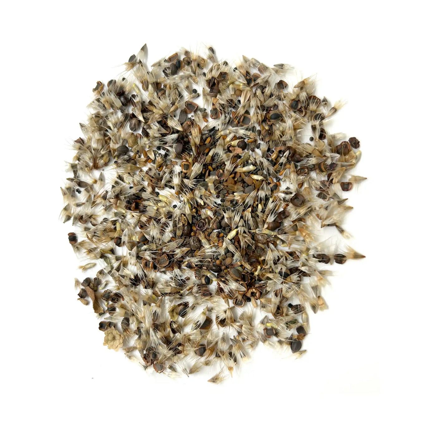 colorado mountain wildflower seeds Ferry-Morse Colorado Western Mix Bulk Wildflower Seeds, 1lb