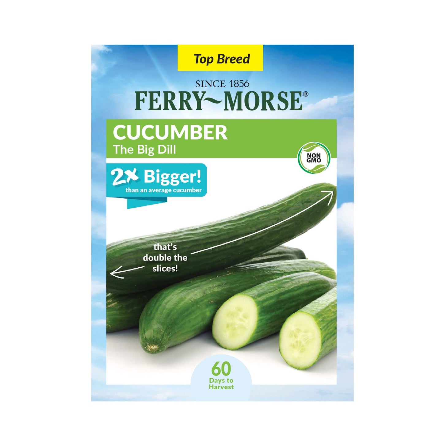 Cucumber, The Big Dill Seeds