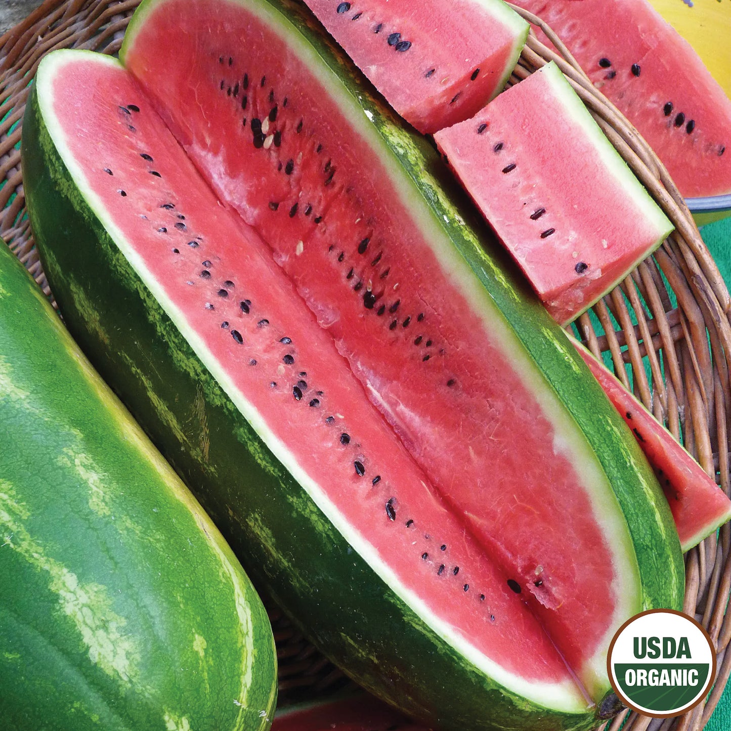 Watermelon, Jubilee Organic Seeds