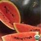 Watermelon, Sugar Baby Organic Seeds Online Edition