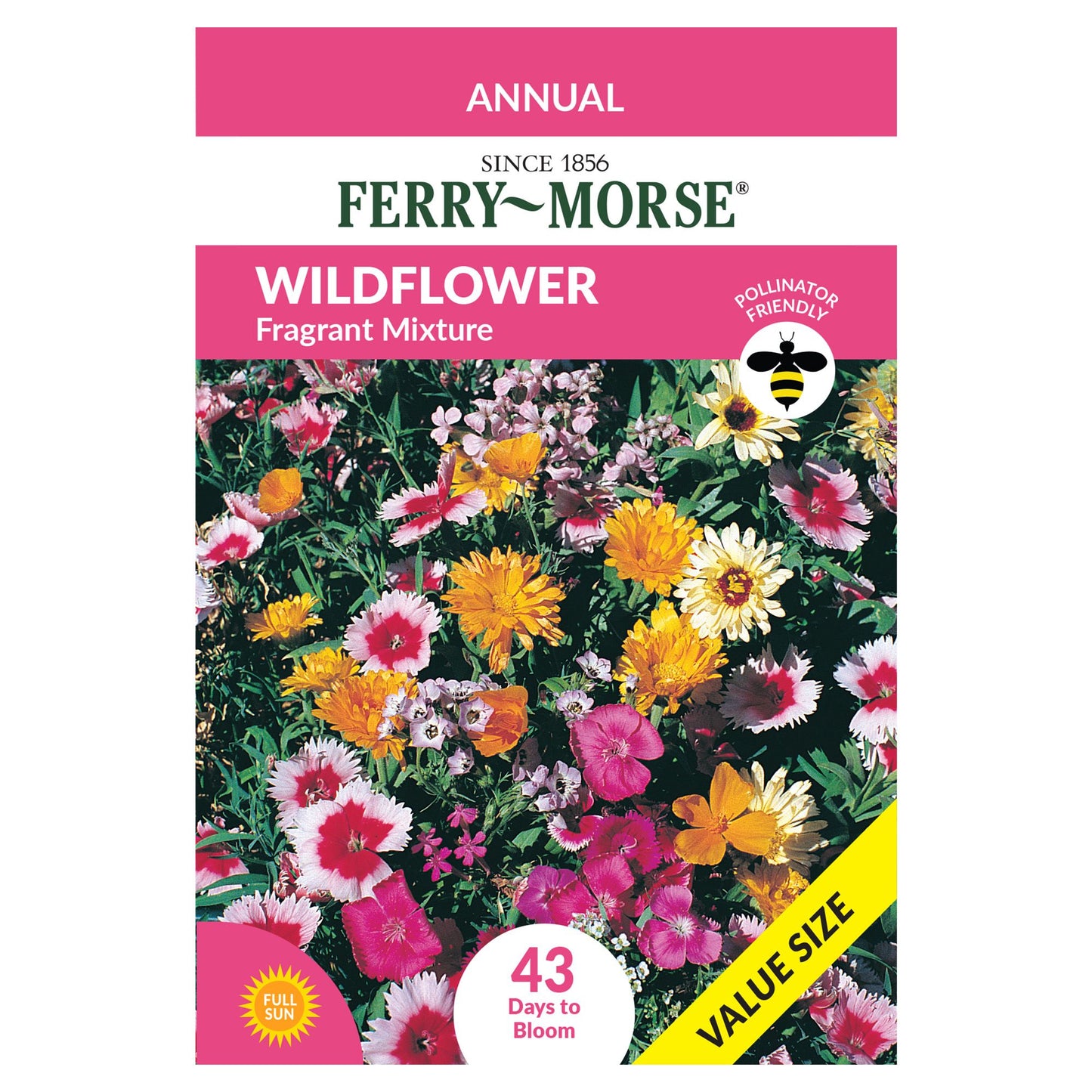 Wildflower Fragrant Mix Economy Seeds