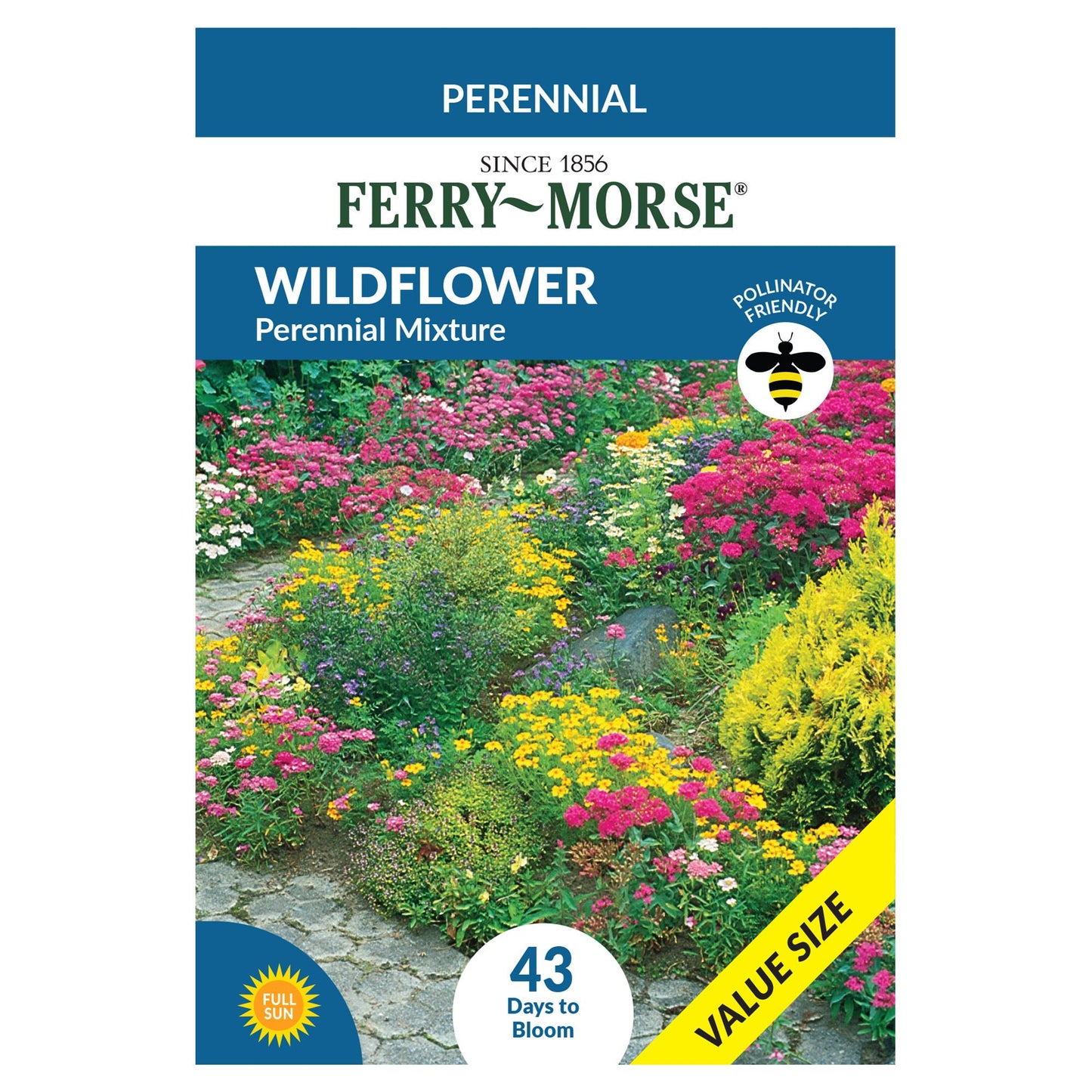 Wildflower Perennial Mix Economy Seeds