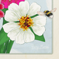 Zinnia Flowers Poster