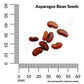 Asparagus, Beans Yard Long Seeds, 7.4g - Ferry - Morse