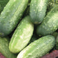 Cucumber Homemade Pickles Plantlings Live Baby Plants 1-3in., 3-Pack