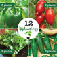 Salsa Vegetable & Herb Plantlings Kit Live Baby Plants 1-3in., 12-Pack