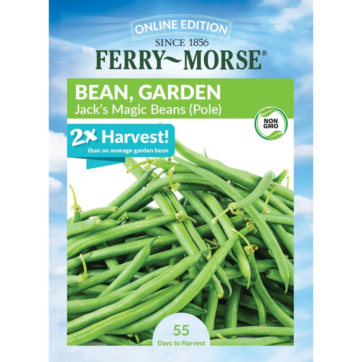 Bean, Jack’s Magic Pole Seeds, 15.8g - Ferry - Morse