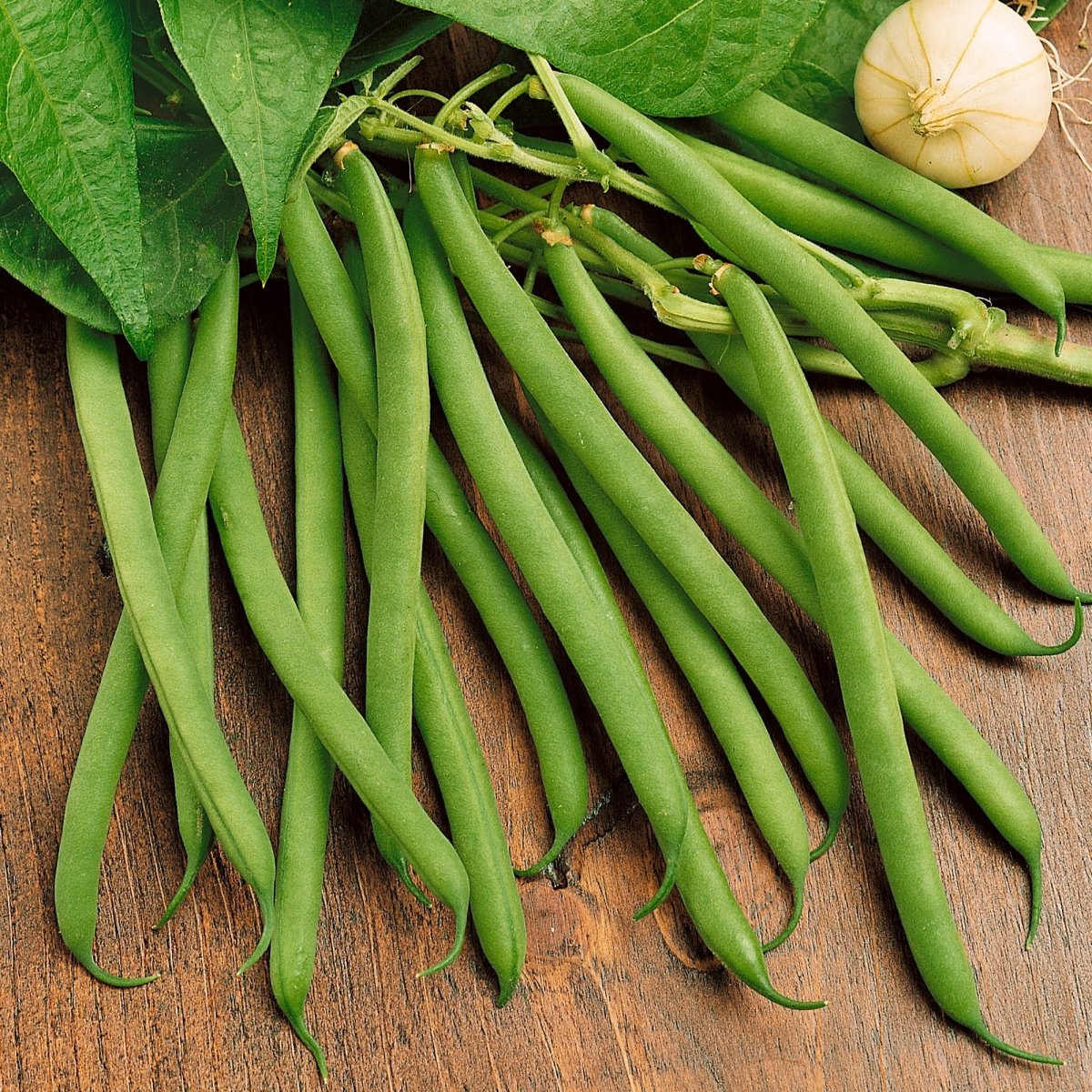 Bean, Jack’s Magic Pole Seeds, 15.8g - Ferry - Morse