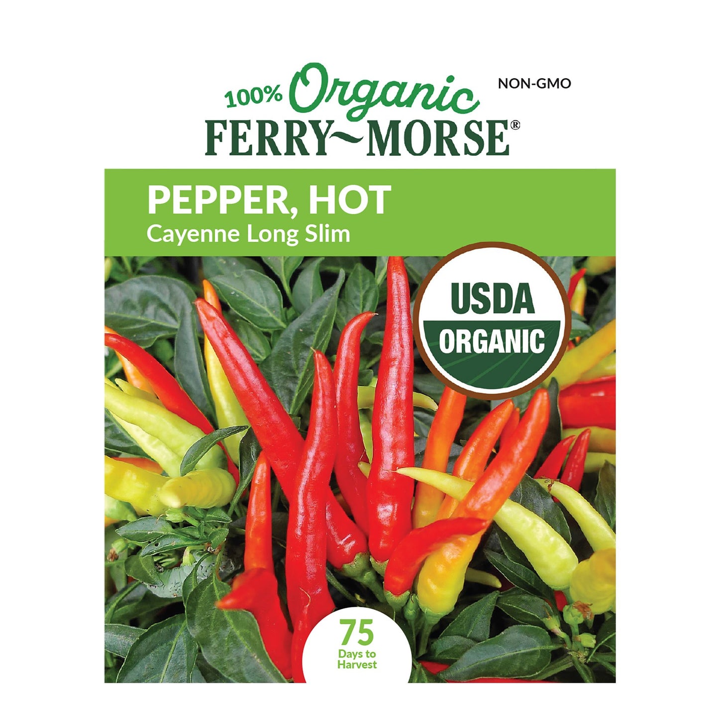 Pepper, Cayenne Long Slim Organic Seeds