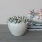 Stoneware planter with 3D snails on the rim and a reactive speckled glaze in blue, green, and cream finishes.