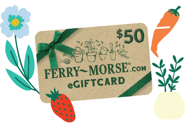 Give the Gift of Growing