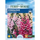 Foxglove, Mixed Colors Seeds, 400mg - Ferry - Morse