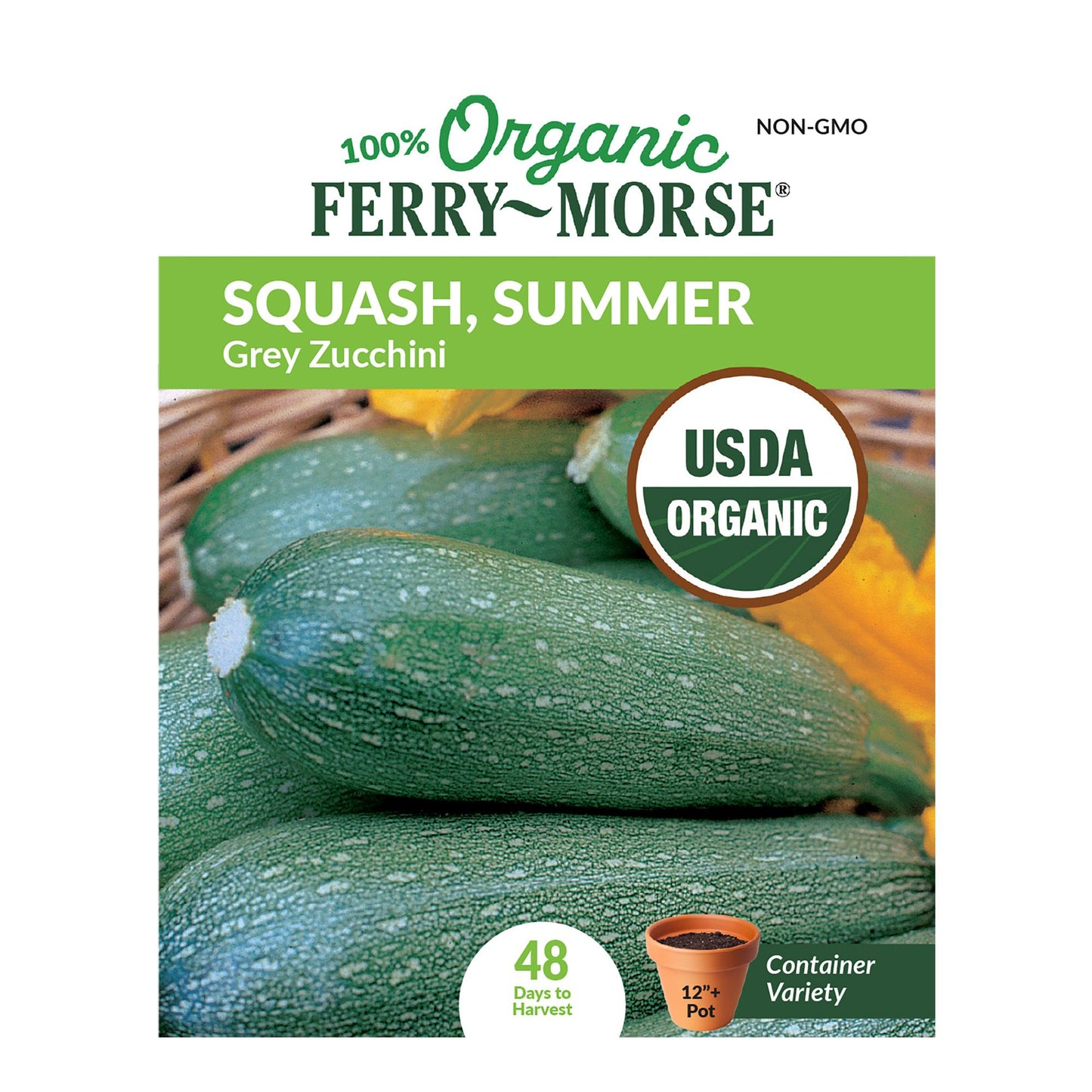 Squash, Grey Zucchini Organic Seeds