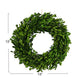 Green Faux Boxwood Wreath (13" Diameter) - Ferry - Morse