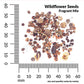 Wildflower Fragrant Mix Economy Seeds