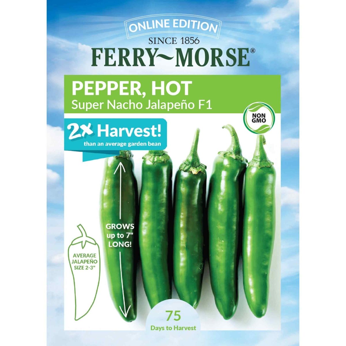 Pepper, Super Nacho Jalapeno Seeds, 200mg - Ferry - Morse