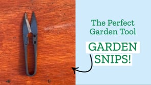 Snippy, snippy, cut, cut a how to guide for buying garden