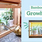 Ferry-Morse Modern Indoor Bamboo LED Growhouse