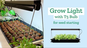 Grow light with T5 bulb for seed starting. Grow lights help to keep yours indoor seedlings from becoming "leggy" or reaching for light from a ceiling fixture. Helps seedlings grown faster & stonger! Obtain faster growth with T5 Full Daylight spectrum bulb. Over 10000 hours of bulb life. Full spectrum color mimics natural sunlight & encourages overall plant health