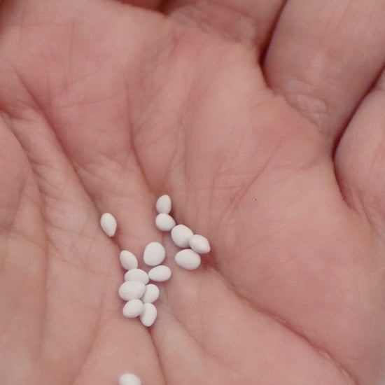 Pelleted seeds in hand