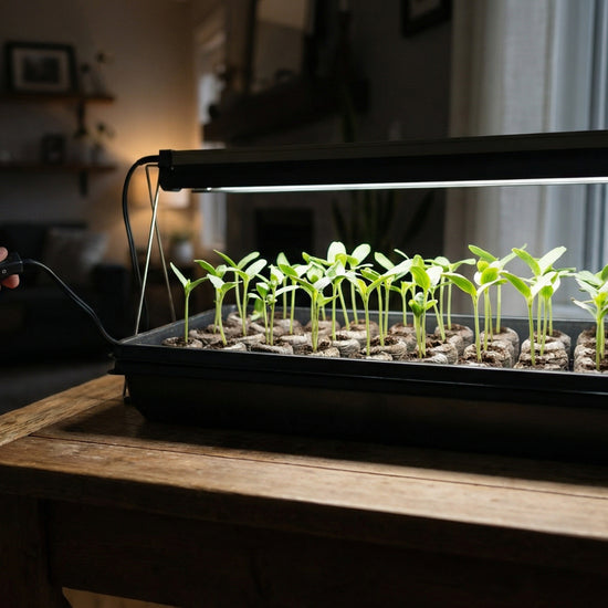 Video of the Ferry morse indoor grow light for seed starting