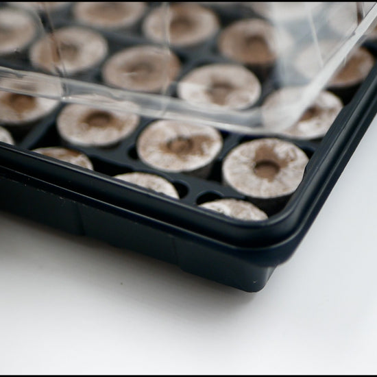 Dome keeps in moisture + heat to germinate seeds. 2 2-inch height allows room for seed germination and early plant growth. Watertight base holds seedlings + water until you're ready to transplant.