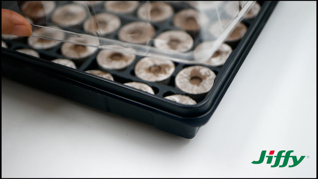 Dome keeps in moisture + heat to germinate seeds. 2 2-inch height allows room for seed germination and early plant growth. Watertight base holds seedlings + water until you're ready to transplant.