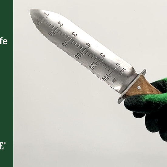 Premium hori hori knife & trowel hand tool. Genuine leather knife case with belt attachment. Serrated edge removes weeds, cuts tough roots, & easily digs. Stainless-steel blade & solid wood handle.