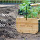 Ferry-Morse Bamboo Harvest Basket