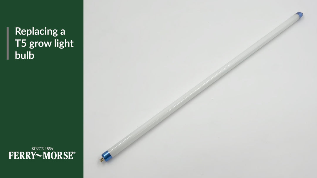 Replacing a T5 grow light bulb. Remove old bulb by holding one end, while gently pushing back & lifting up. Line up the pins at the ends of the new bulb with the slots in the light reflector. Place the bulb gently into the reflector at both ends.