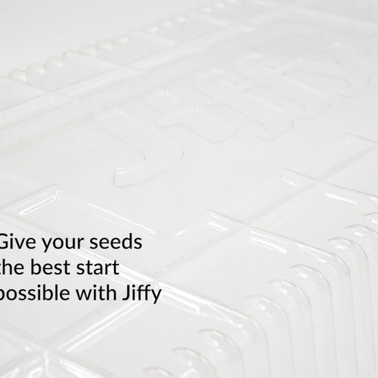 Jiffy Clear-Humidity GRO-Dome. 2" height allows room for seed germination & early plant growth. Designed to fit perfectly with Jiffy plant trays. Give your seeds the best start possible with Jiffy. 