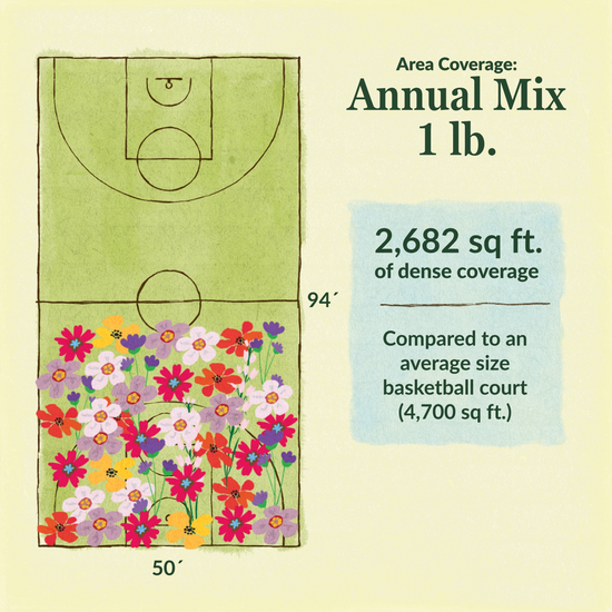 Annual flower mix area coverage for 1lb seed mix 2682 sq ft of dense coverage compared to an average size basketball court (4700 sq ft)