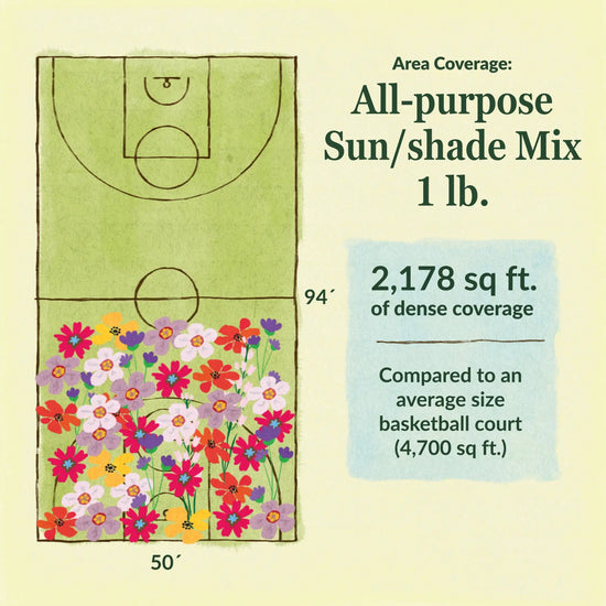 All-purpose sun/ shade flower mix area coverage for 1lb seed mix 2178 sq ft of dense coverage compared to an average size basketball court (4700 sq ft)